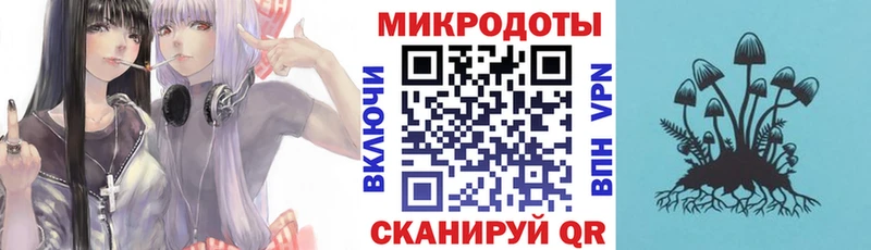 Галлюциногенные грибы Psilocybe  Весьегонск 